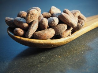 Fève de cacao