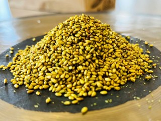 Graine de sésame wasabi
