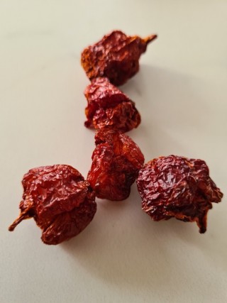 Trinidad Scorpion ( Par sachet de 15 piments)